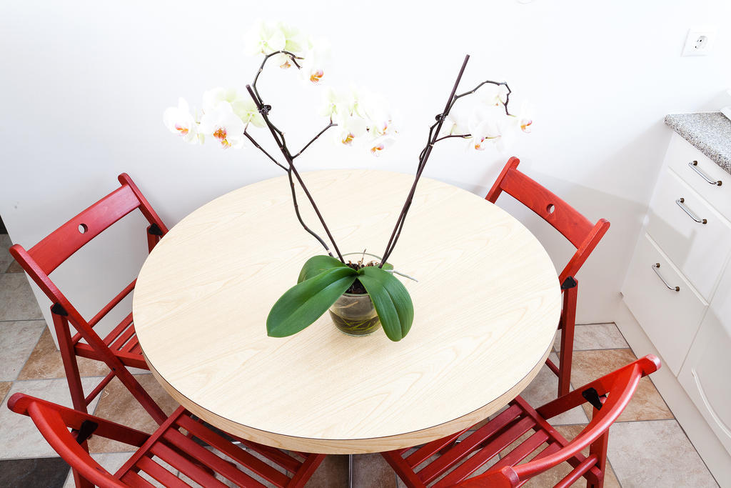 Guesthouse Summerday Reykjavík Zewnętrze zdjęcie